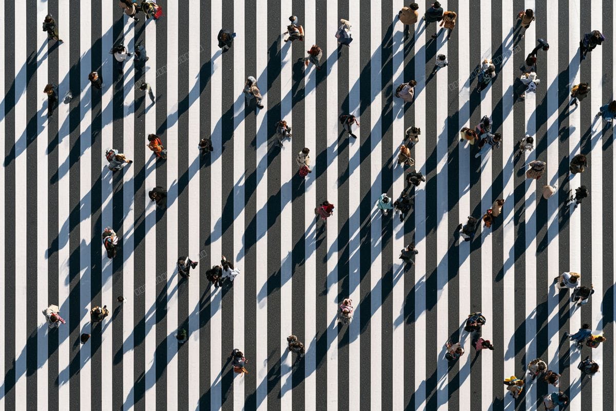 The Crossing
