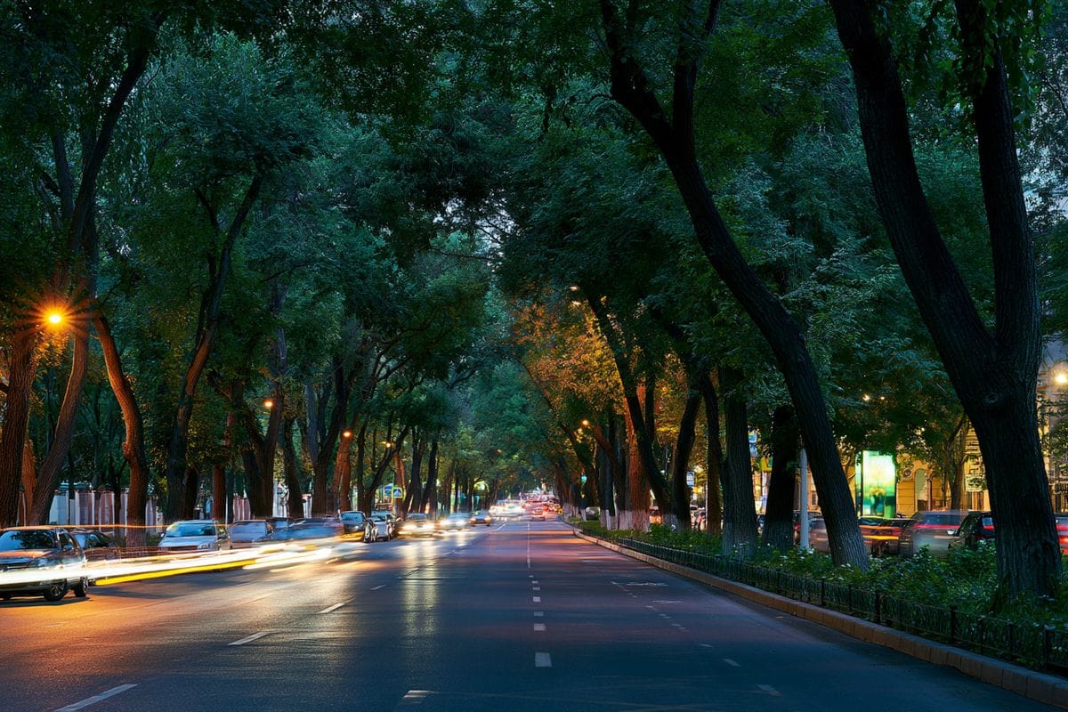 Evening Traffic