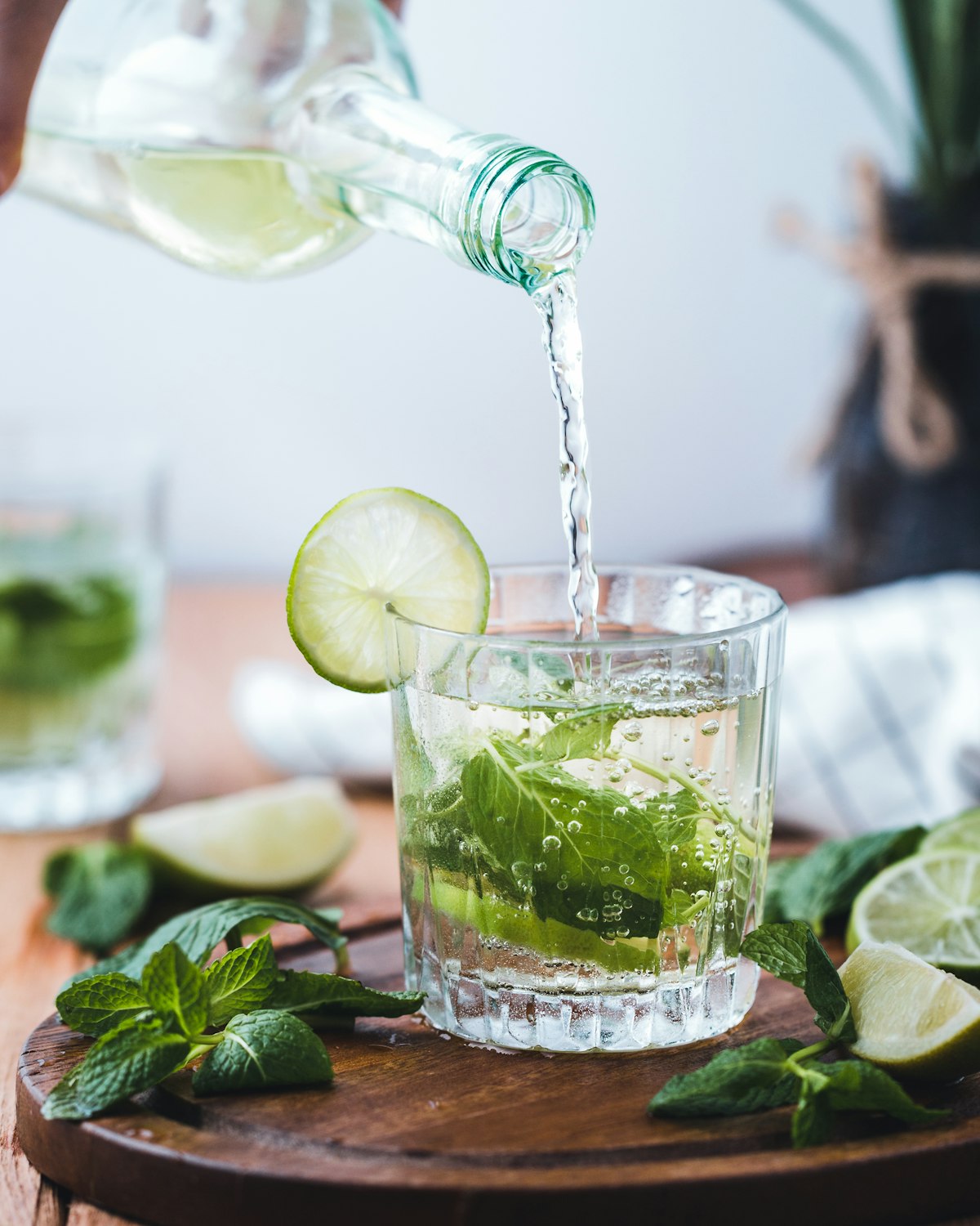 Gin & Tonic: The Perfect G&T