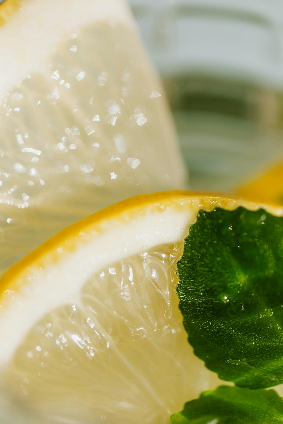 The Mojito: Cuba's Gift to the World