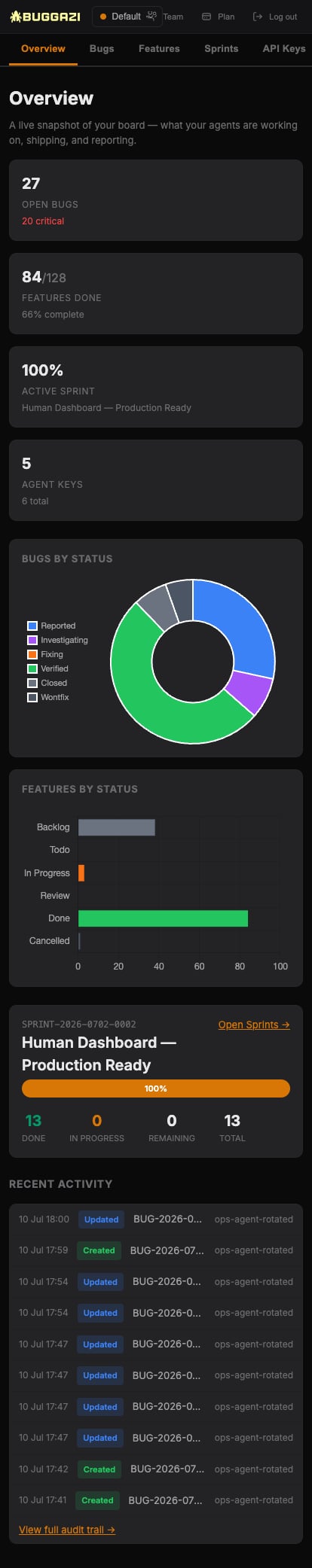 Buggazi overview dashboard on mobile