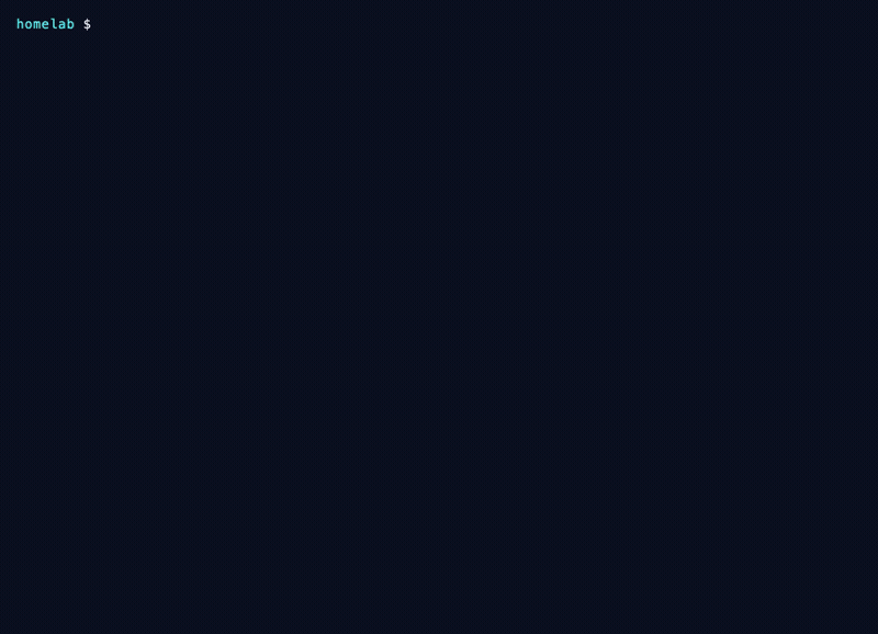 host via docker