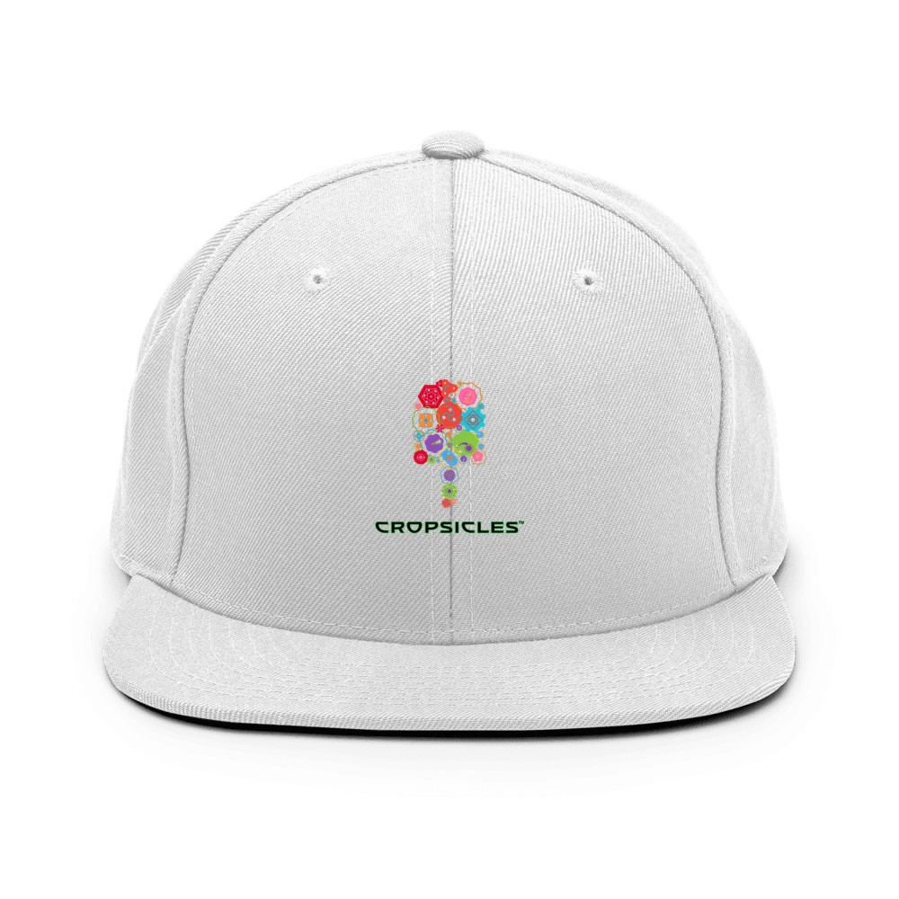 Popsicle Crate Cap - Image 1