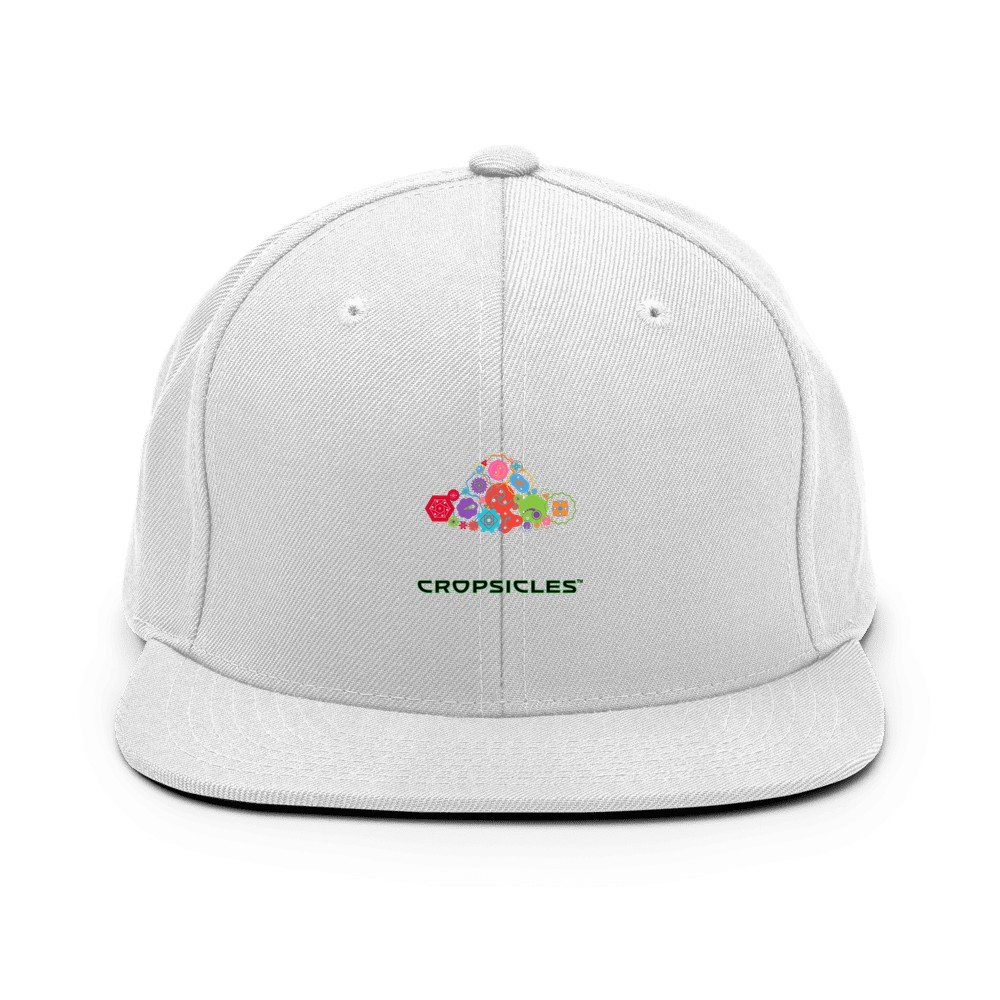 UFO Crate Cap