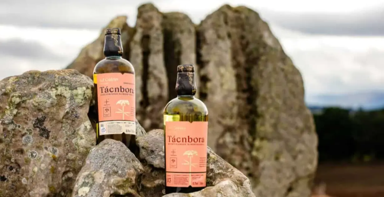 Ad Gefrin Launches Tácnbora Sauternes Cask Finish Whisky - American Review