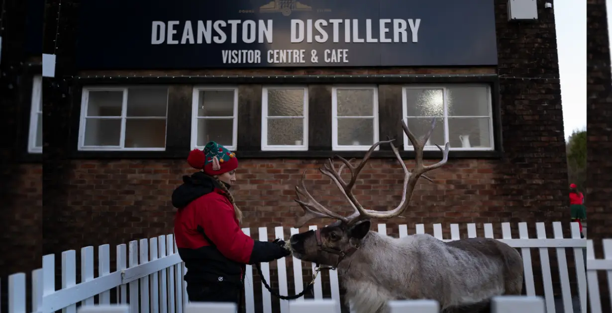 DramFest 2025: Deanston’s Winter Whisky Festival - American Review