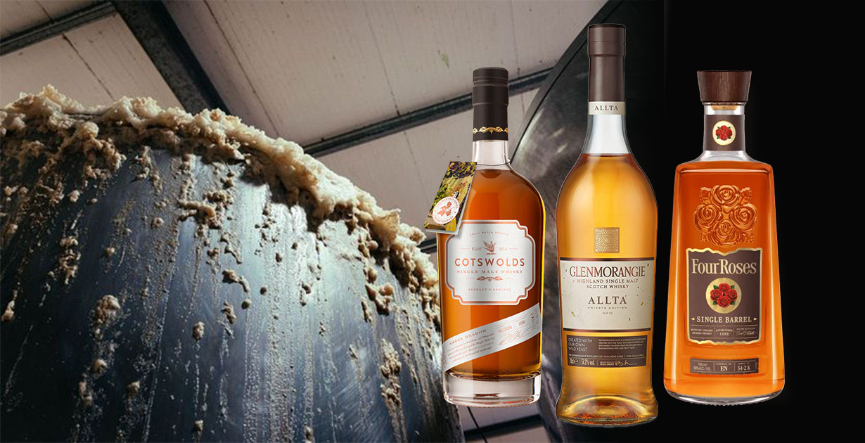 Scotch vs. American vs. English Whisky: The Yeast Divide - Scotch Review