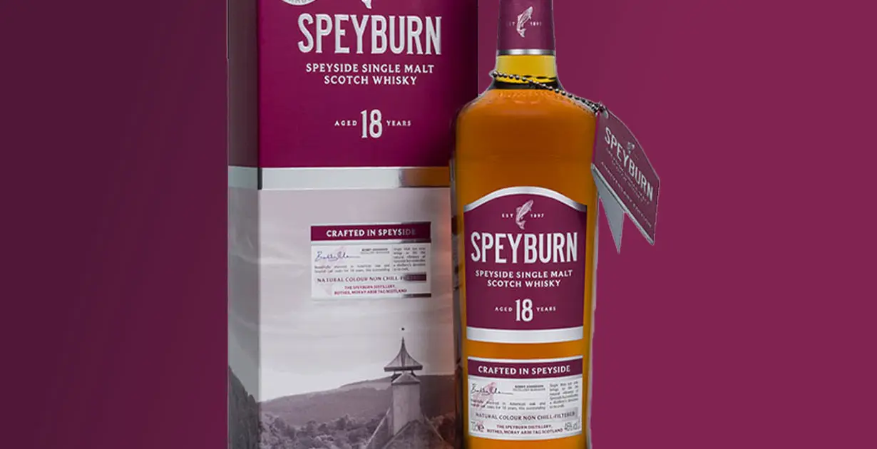 This 18 Year Old Scotch Whisky Is Incredible Value For Money - Scotch Review