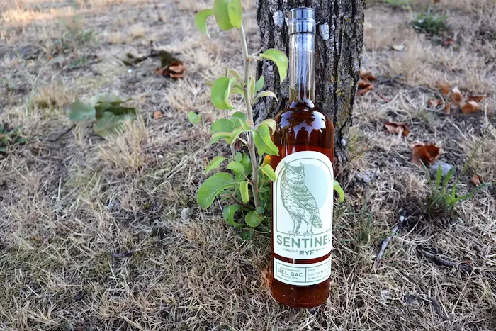 Whiskey Review: Whiskey Del Bac Sentinel Straight Rye (Batch 2) - Rye Review