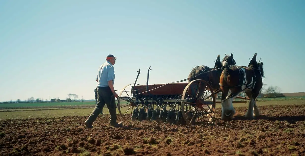 The Team Behind Living Souls Launches Drummygar Distillery - American Review