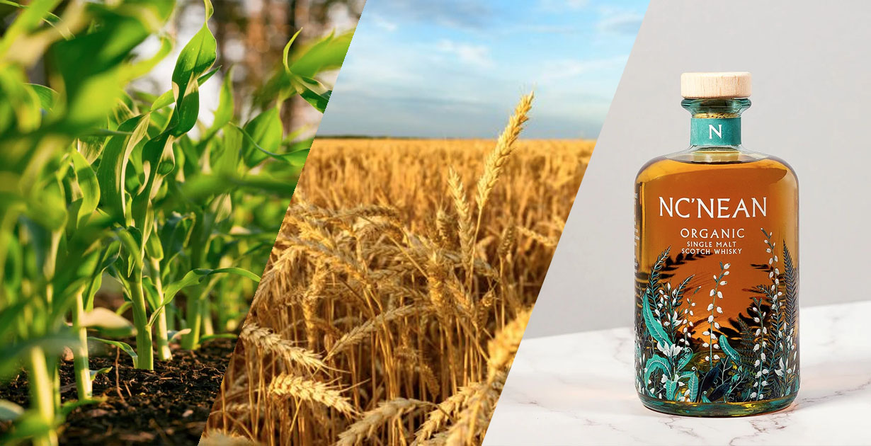 Why Annabel Thomas Thinks You Should Care About The Sustainability of Your Whisky - American Review