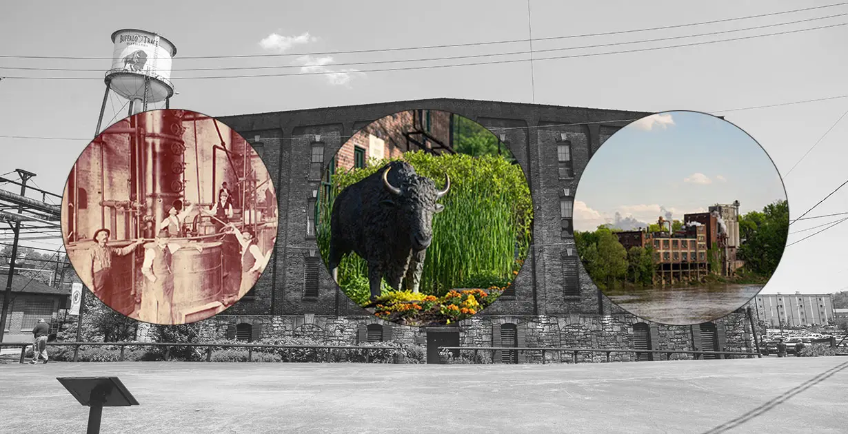 Three Historic Milestones of the Buffalo Trace Distillery - American Review