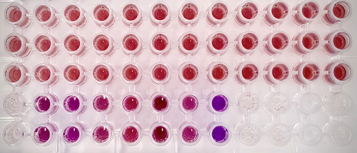 There’s A New Way To Test For Whisky’s Age Using Tiny Gold Particles - Scotch Review