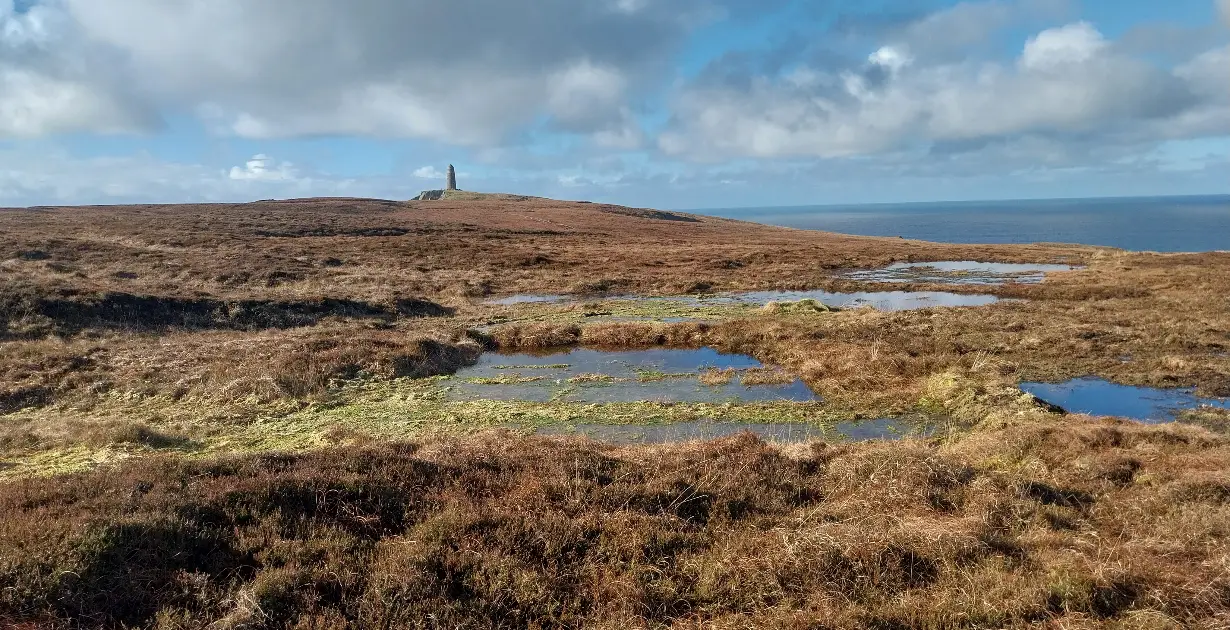 Whisky Giants Unite for £1.6M Islay Peatland Project - Scotch Review